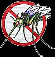 'Malaria Warning in Chumpon' by Asienreisender